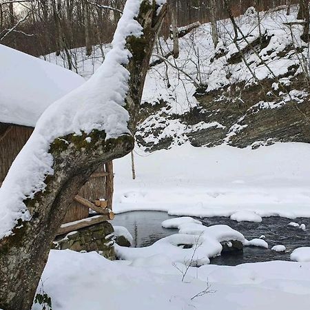 Хатина Біля Потока Villa Lumshory Eksteriør billede