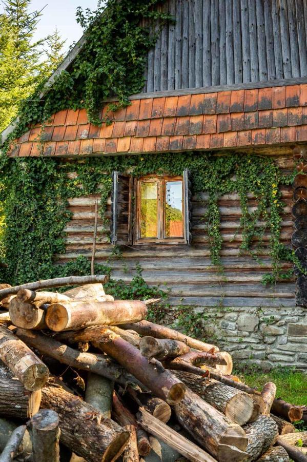 Хатина Біля Потока Villa Lumshory Eksteriør billede